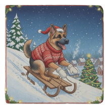 Deutscher Schäferhund Schlittenfahren, Weihnachten