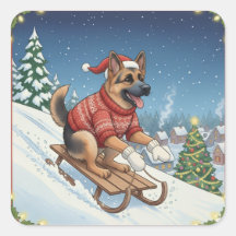 Deutscher Schäferhund Schlittenfahren, Weihnachtsa