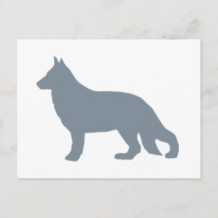 deutscher Schäferhund Silo Blau Postkarte