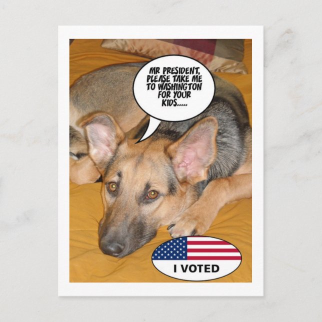 Deutscher Schäferhund-Spaß Postkarte (Vorderseite)