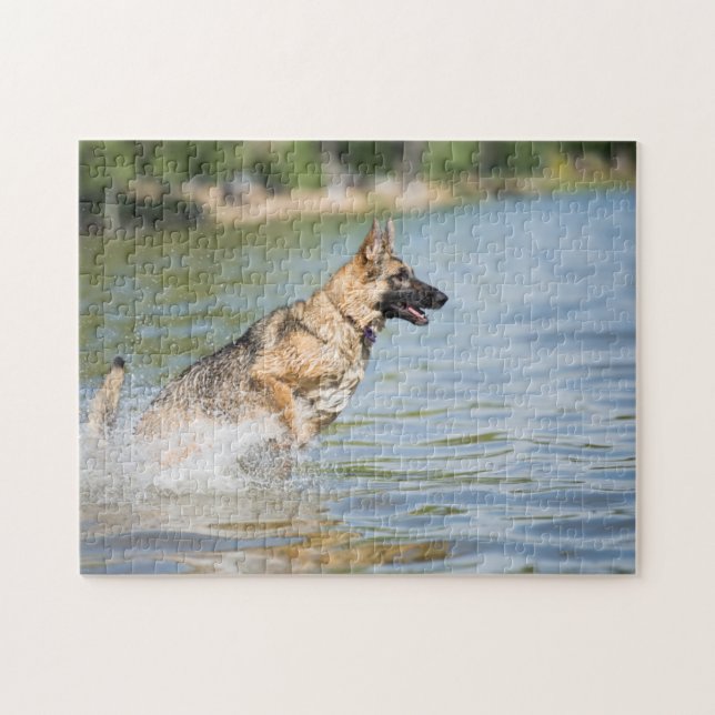 Deutscher Schäferhund springt ins Wasser (Horizontal)