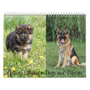 Deutscher Schäferhund und Welpen-Kalender Kalender