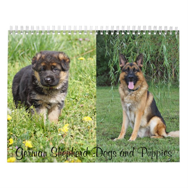 Deutscher Schäferhund und Welpen-Kalender Kalender (Titelbild)
