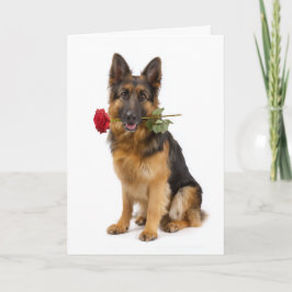 Deutscher Schäferhund Valentinstag – Ergebene Lieb Karte