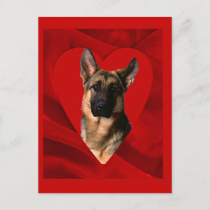 Deutscher Schäferhund Valentinstag Feiertagspostkarte