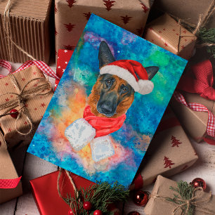 Deutscher Schäferhund Weihnachten