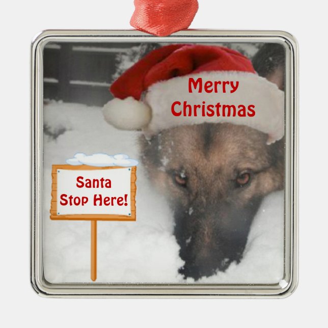 Deutscher Schäferhund Weihnachtsanfang hier Unters Silbernes Ornament (Vorne)