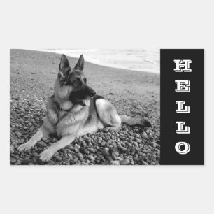 Deutscher Schäferhund-Welpe Hi / Hallo Aufkleber /
