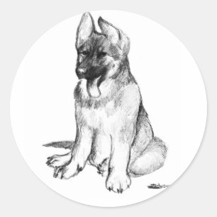 Deutscher Schäferhund-Welpe Runder Aufkleber