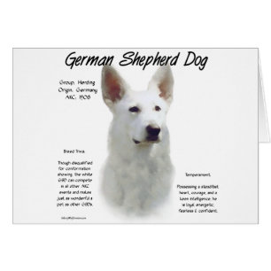 Deutscher Schäferhund (wht) Geschichtsdesign