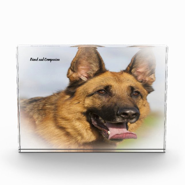 Deutscher Schafhund. Fotoblock (Vorderseite)