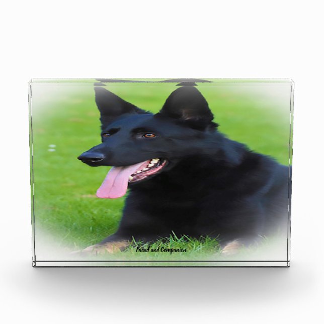 Deutscher Schafhund. Fotoblock (Vorderseite)
