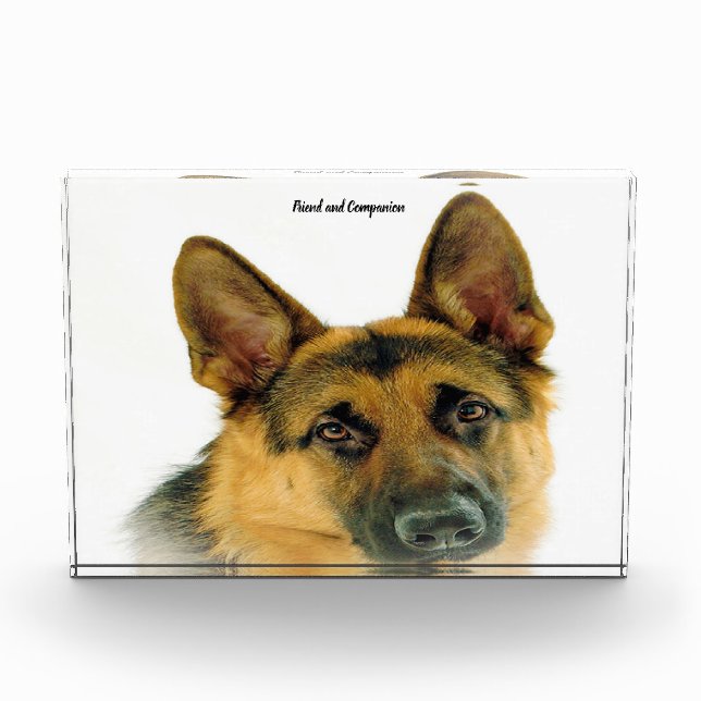 Deutscher Schafhund. Fotoblock (Vorderseite)