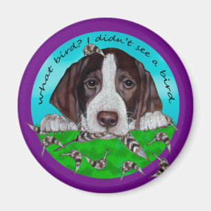 Deutscher Shorthair Zeiger-Welpe Magnet