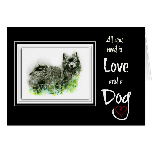 Deutscher Spitz (Vorderseite (Horizontal))