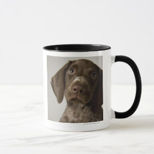 Deutscher Welpe des kurzhaarigen Zeigers Tasse