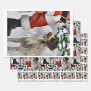 Deutsches Drahthaar Pointer Christmas Geschenkpapier Set