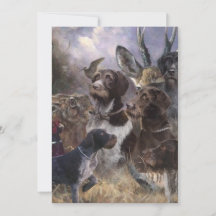 Deutsches Drahthaar Pointer