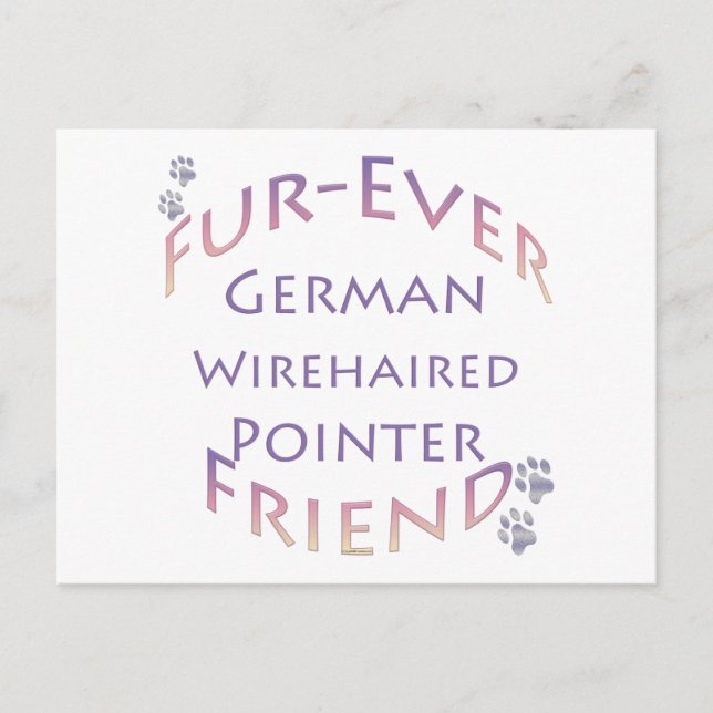 Deutsches Drahthaar Pointer Furever Postkarte (Vorderseite)