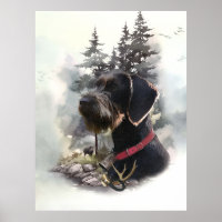 Deutsches Drahthaar Pointer, GWP