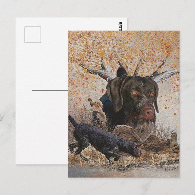 Deutsches Drahthaar Pointer, Herbstjagd Postkarte (Vorne/Hinten)