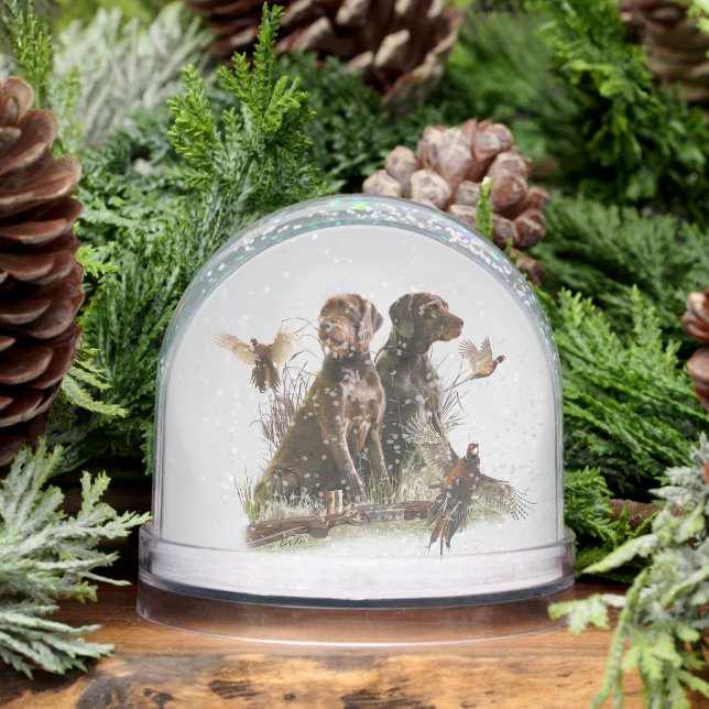 Deutsches Drahthaar Pointer, Jagd Schneekugeln (Winter)