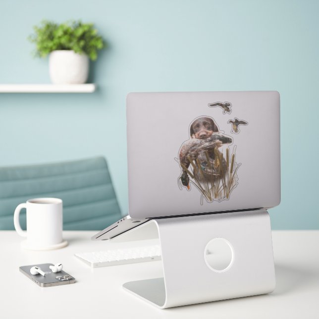 Deutsches Drahthaar Pointer jagt eine Ente Aufkleber (Laptop auf Schreibtisch)