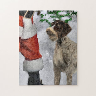 Deutsches Drahthaar Pointer mit Weihnachten