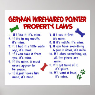 DEUTSCHES DRAHTHAAR POINTER PL2 POSTER