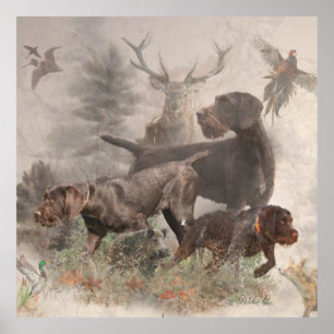 Deutsches Drahthaar Pointer Poster