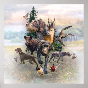 Deutsches Drahthaar Pointer Poster