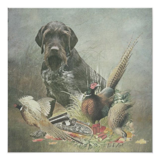Deutsches Drahthaar Pointer Poster (Vorderseite)