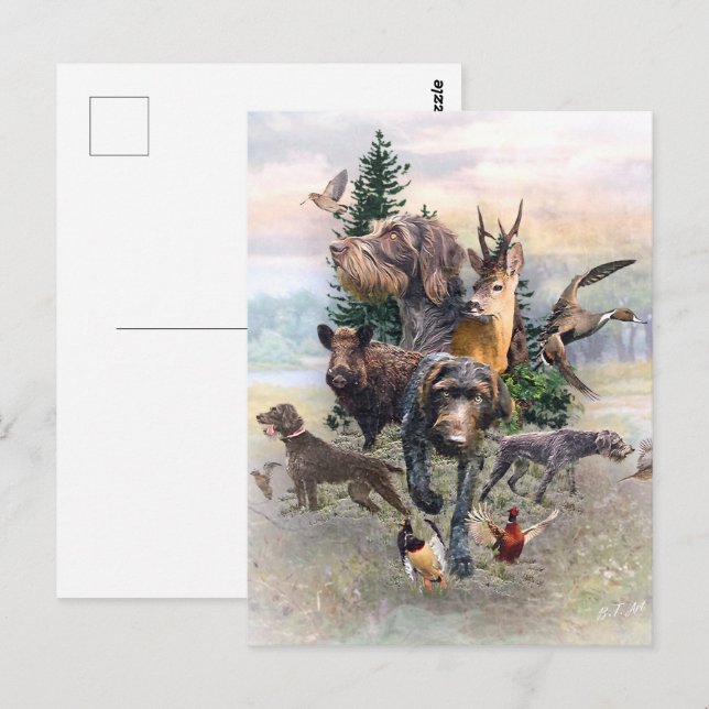 Deutsches Drahthaar Pointer Postkarte (Vorne/Hinten)