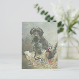 Deutsches Drahthaar Pointer Postkarte
