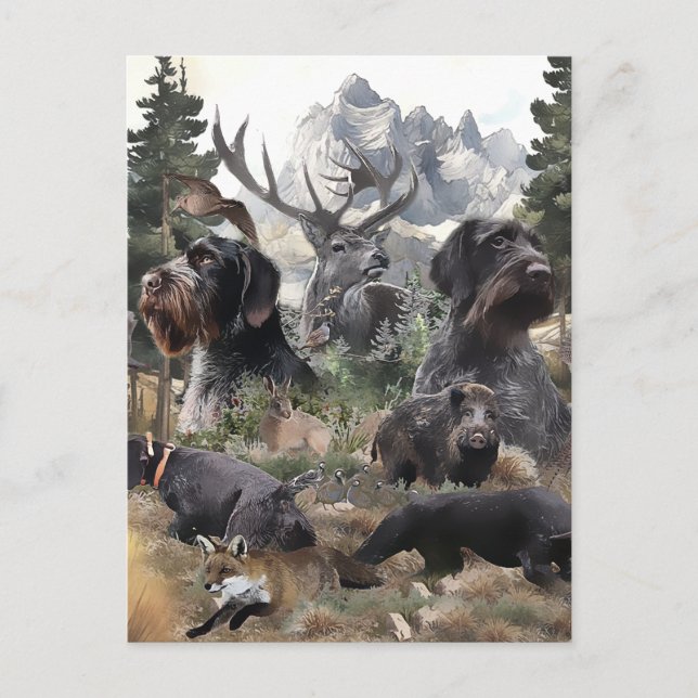 Deutsches Drahthaar Pointer Postkarte (Vorderseite)