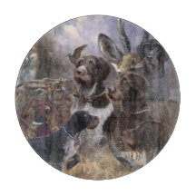 Deutsches Drahthaar Pointer