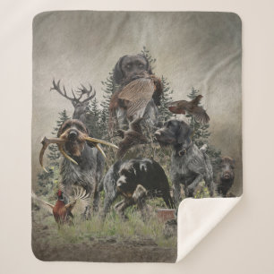 Deutsches Drahthaar Pointer Sherpadecke