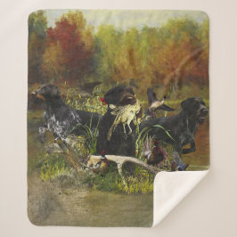 Deutsches Drahthaar Pointer Sherpadecke