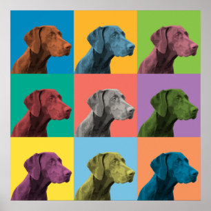 Deutsches Kurzpointer-Pop-Art-Poster Poster