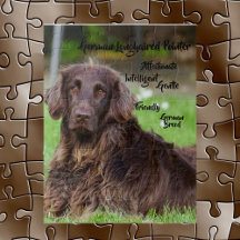 Deutsches Puzzle mit langhaarigen Pointer Jigsaw