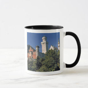 Deutschland, Bayern, Schloss Neuschwanstein. Tasse