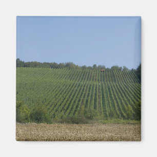 Deutschland, Frankreich, Rothenburg. Aussicht entl Magnet