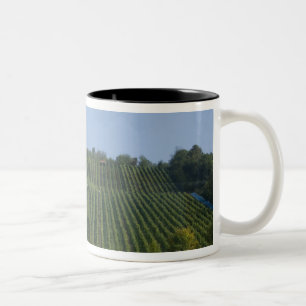Deutschland, Frankreich, Rothenburg. Aussicht entl Zweifarbige Tasse