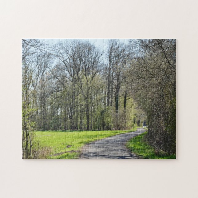 Deutschland Frühjahr | Tree Shade Bike Reitweg (Horizontal)