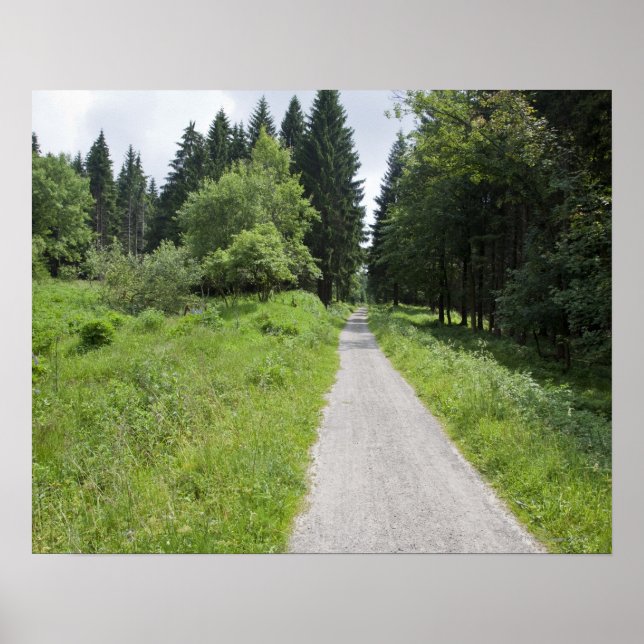Deutschland, Thüringen, Waldweg Poster (Vorne)