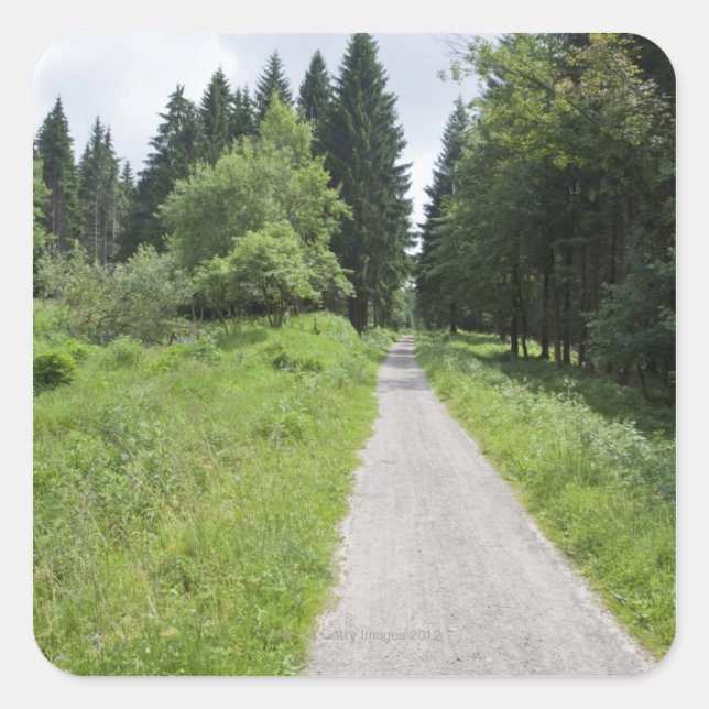 Deutschland, Thüringen, Waldweg Quadratischer Aufkleber (Vorderseite)
