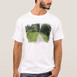 Deutschland, Thüringen, Weg im Wald T-Shirt
