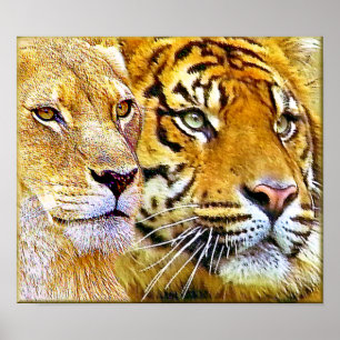 Deux affiches ciblées