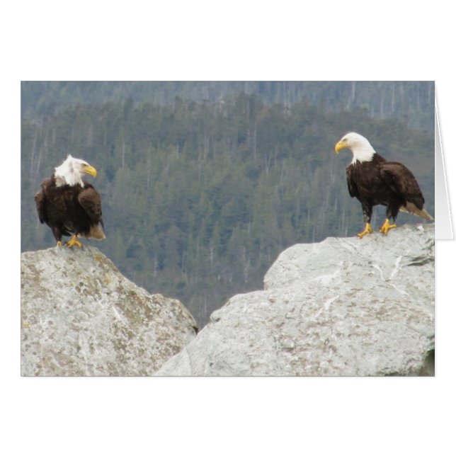 Deux aigles chauds (Devant horizontal)