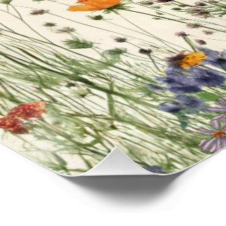 Deux Anniversaire Sauvage - Affiche de Fleurs Sauv